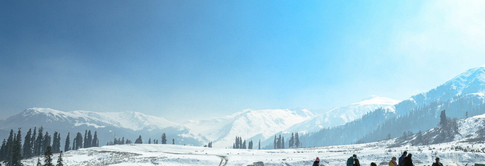 naveen-kumar-jOgcahFaDOM-unsplash