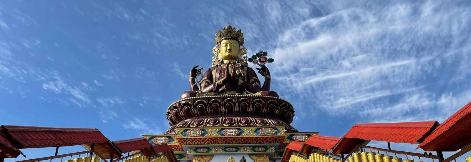 pexels-arani-mukherjee-13524697