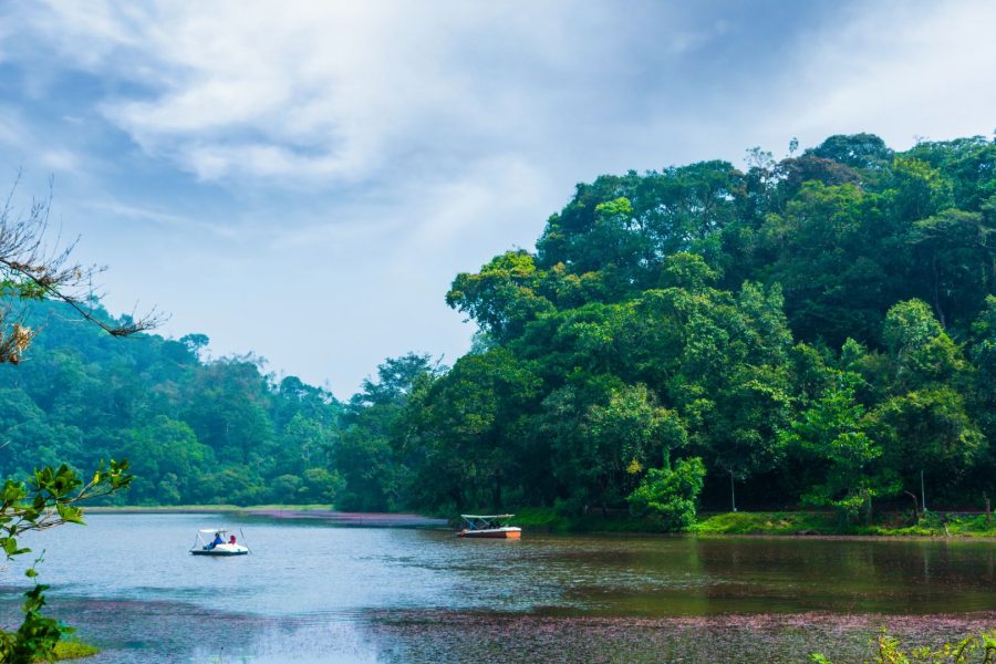 Wayanad Honeymoon Package – Romantic Escape into Nature