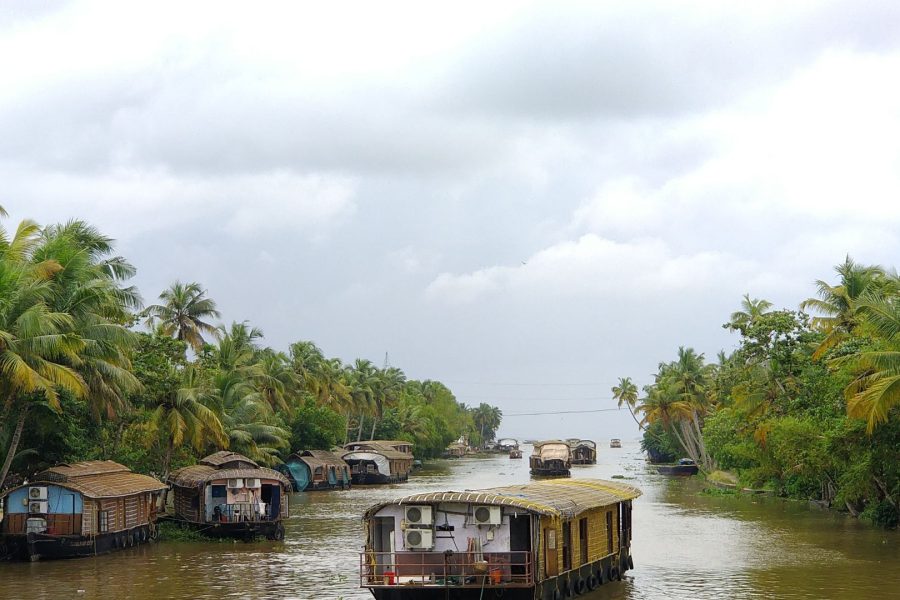 Munnar Alleppey Package – Hills & Backwater Bliss of Kerala