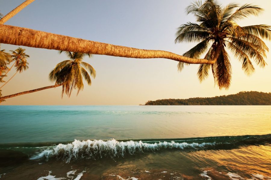 Andaman Trip Package 6 Days – Explore Paradise on Earth