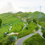 Why Darjeeling & Uttarakhand Tourism Are Trending in 2026