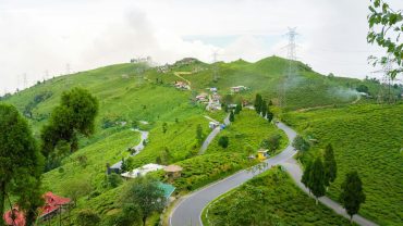 Why Darjeeling & Uttarakhand Tourism Are Trending in 2026