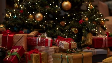 Best Christmas Holiday Destinations in India 2026