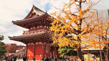 Best International Group Trips from India for November 2026