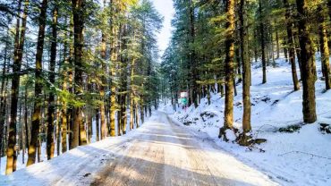 Himachal Pradesh Tour Packages for December 2026: Best Places, Itinerary, Prices & Travel Tips